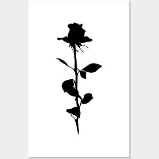 Black Rose Posters and Art